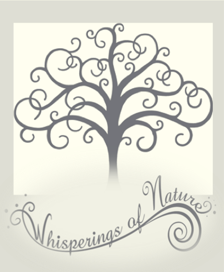 Age in Grace - Nourishing Body Butter - Image 5